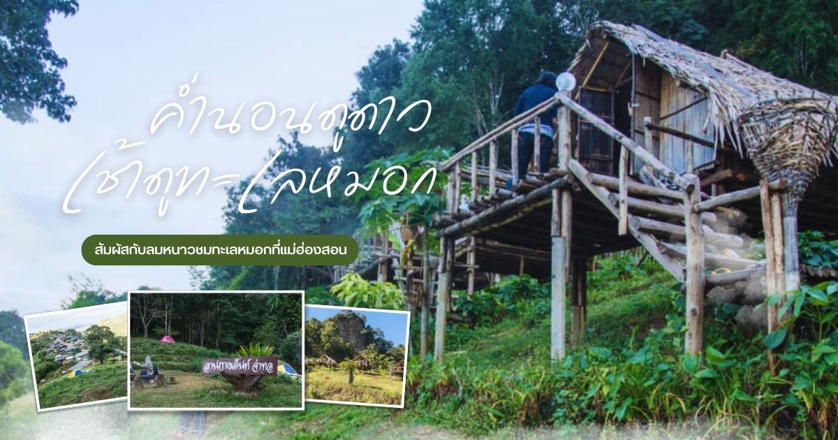 ค่ำนอนดูดาว เช้าดูทะเลหมอก ที่ลานกางเต็นท์จ่าทอ ที่ "บ้านจ่าโบ่" จ.แม่ฮ่องสอน