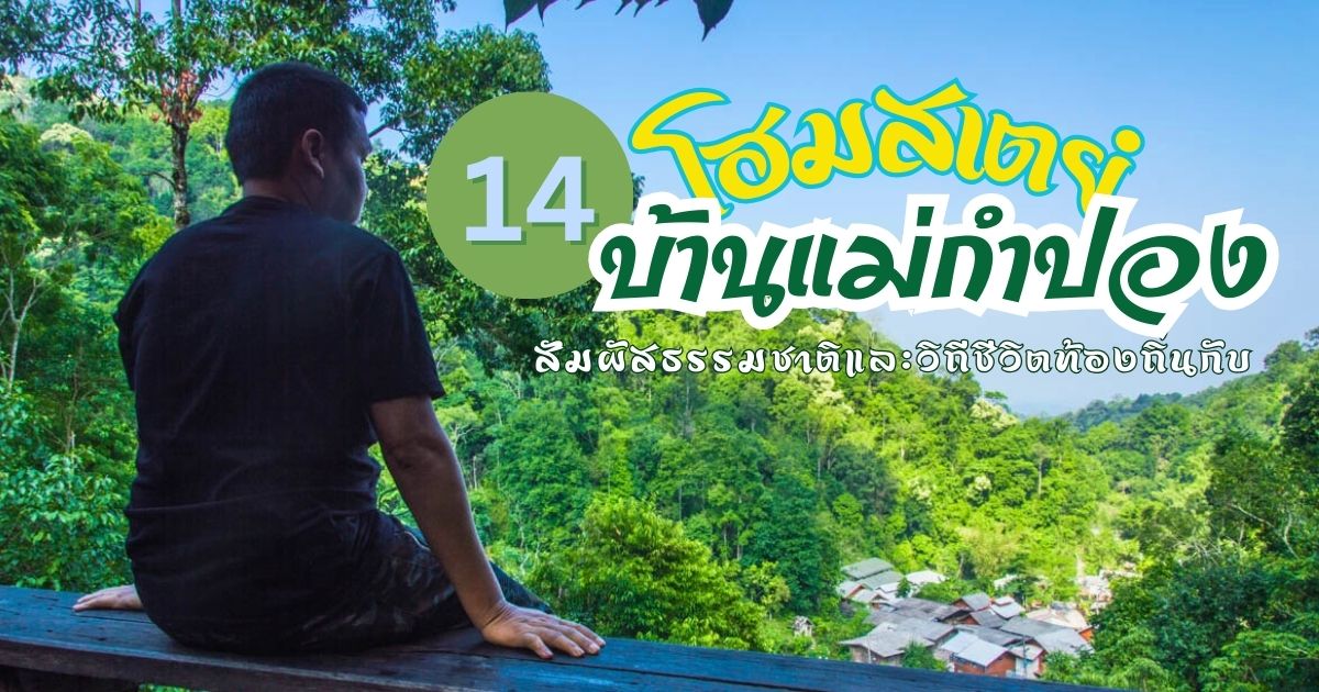14 ที่พัก น่าไปนอนฟังเสียงธรรมชาติที่ "บ้านแม่กำปอง" จ.เชียงใหม่
