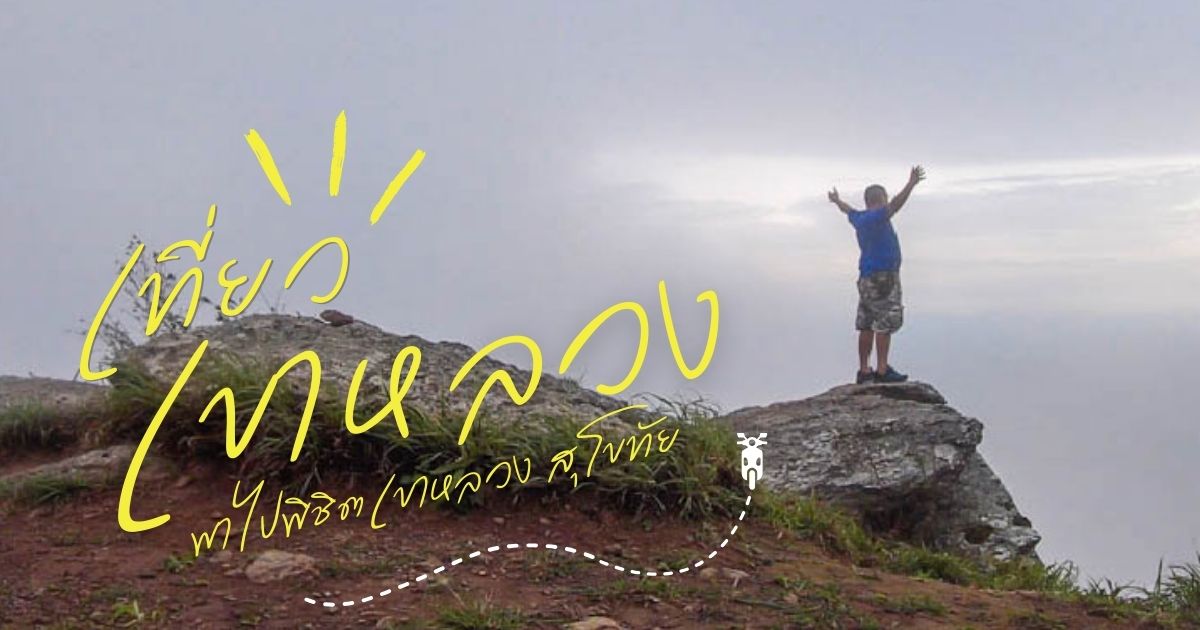 พิชิตยอดเขาหลวง จังหวัดสุโขทัย เส้นทางเดินป่าชมวิวพาโนรามา