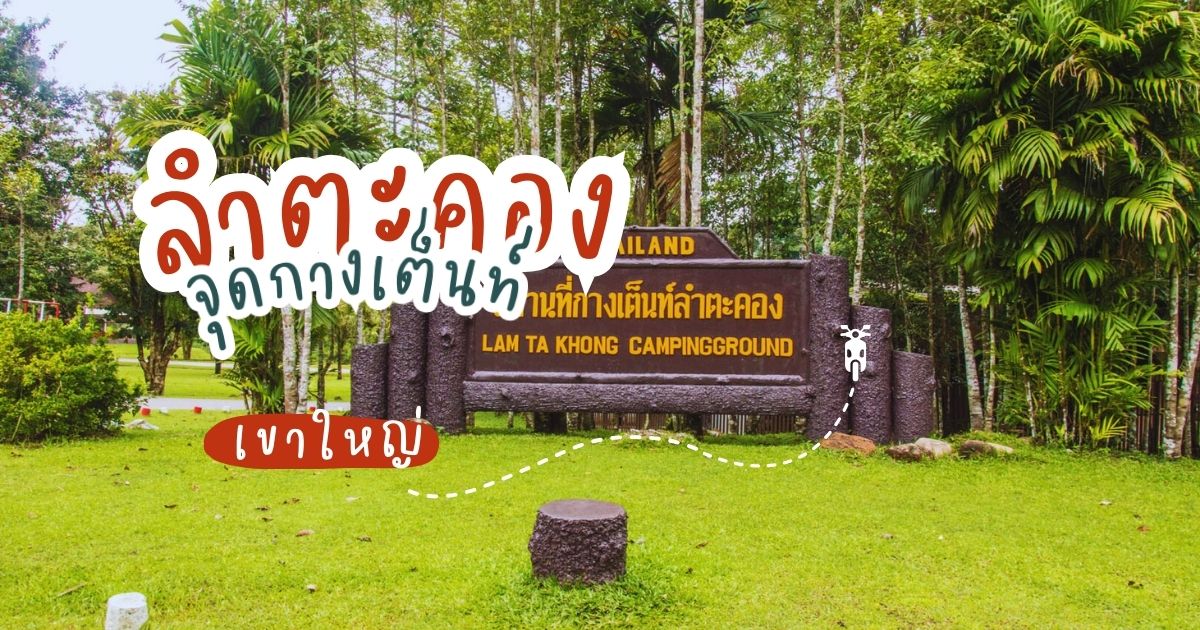 "จุดกางเต็นท์ลำตะคอง" อุทยานแห่งชาติเขาใหญ่ จ.นครราชสีมา