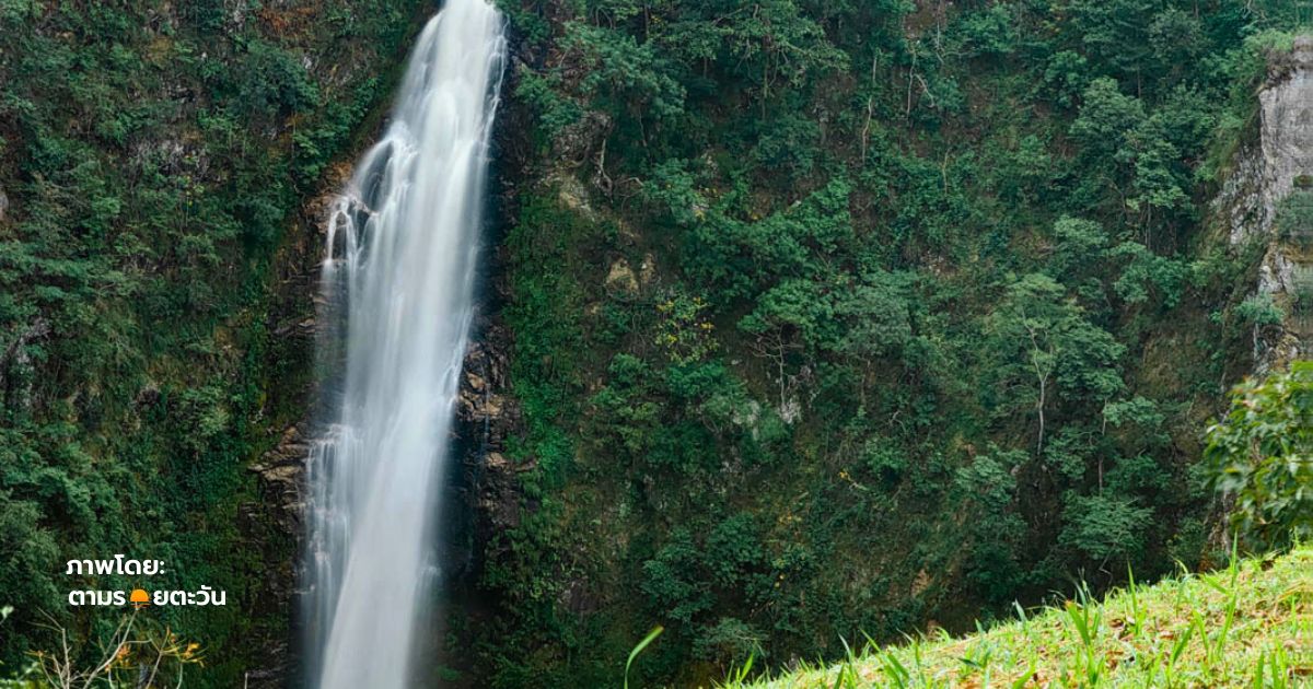 ป่าเขียวขจีโอบล้อมน้ำตกแม่สุรินทร์ ในอุทยานแห่งชาติ