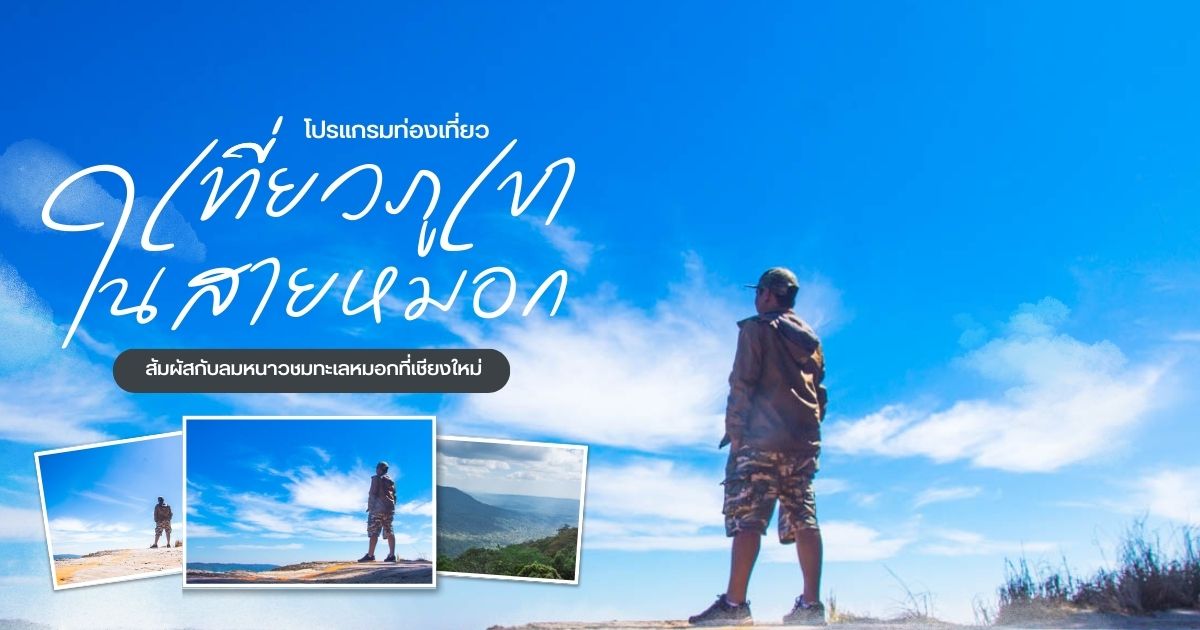 จุดชมวิวผาเดียวดาย อุทยานแห่งชาติเขาใหญ่ วิวหน้าผาและทะเลหมอกใกล้กรุงเทพ