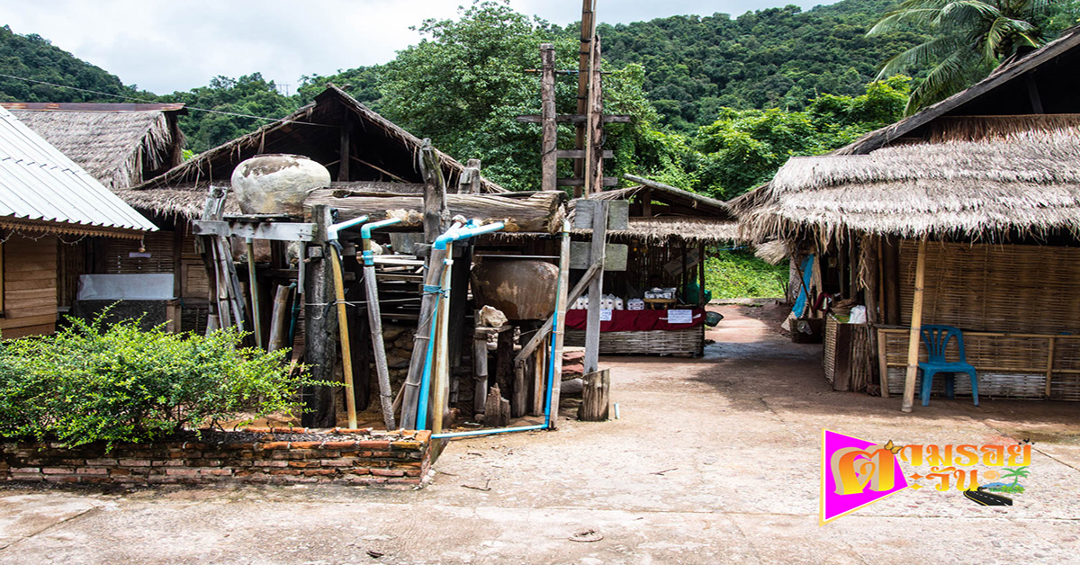 ตามรอยตะวัน