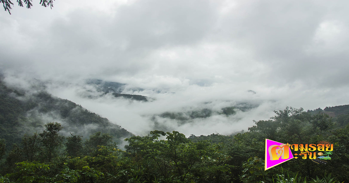 ตามรอยตะวัน