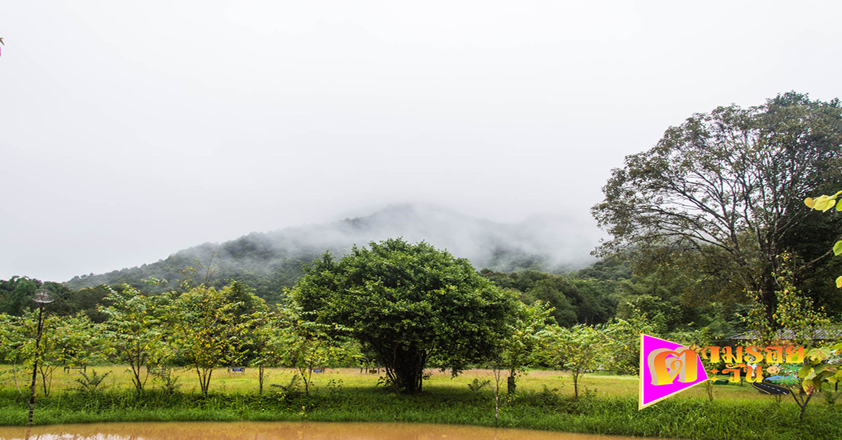 ตามรอยตะวัน