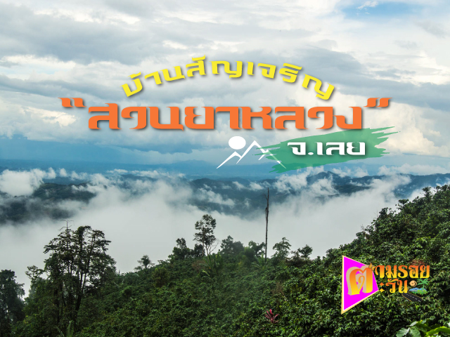 ตามรอยตะวัน