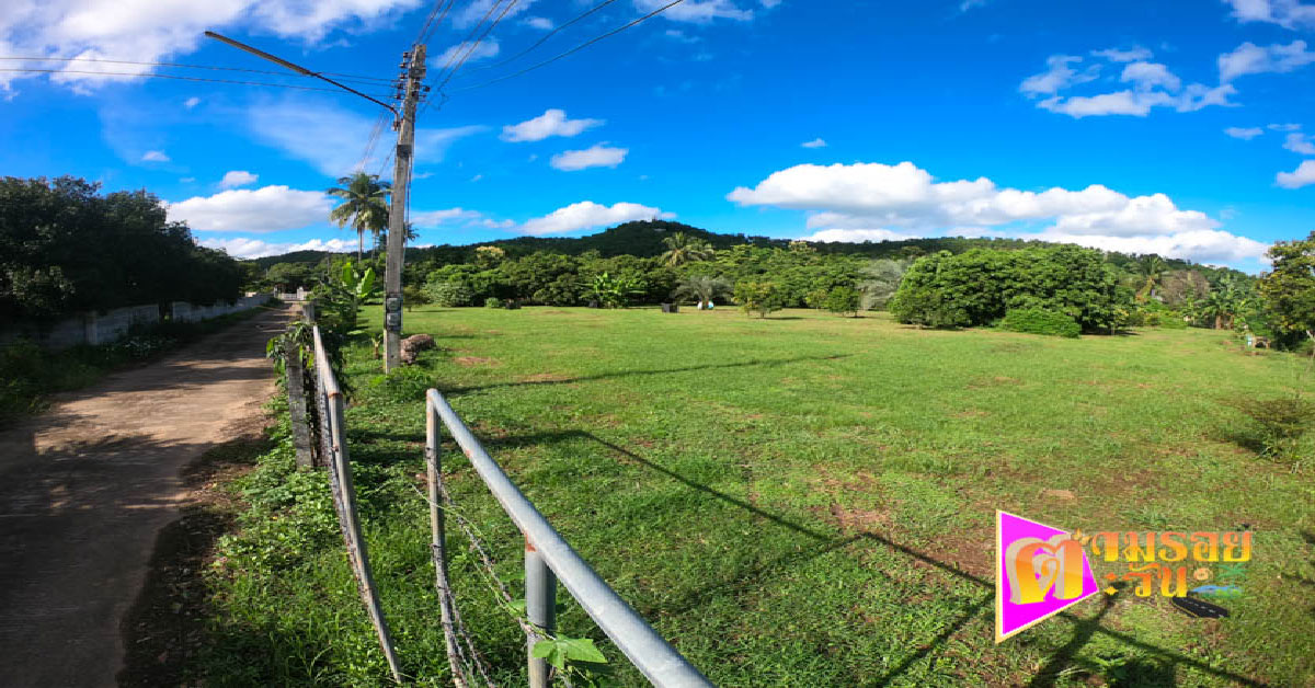 ตามรอยตะวัน