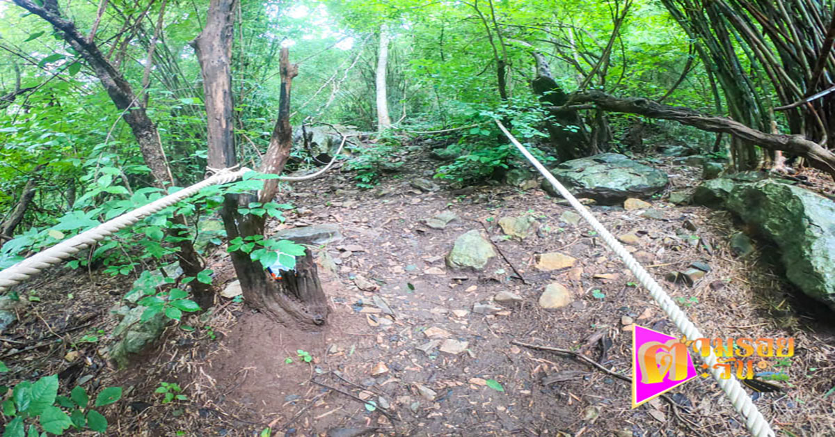 ตามรอยตะวัน