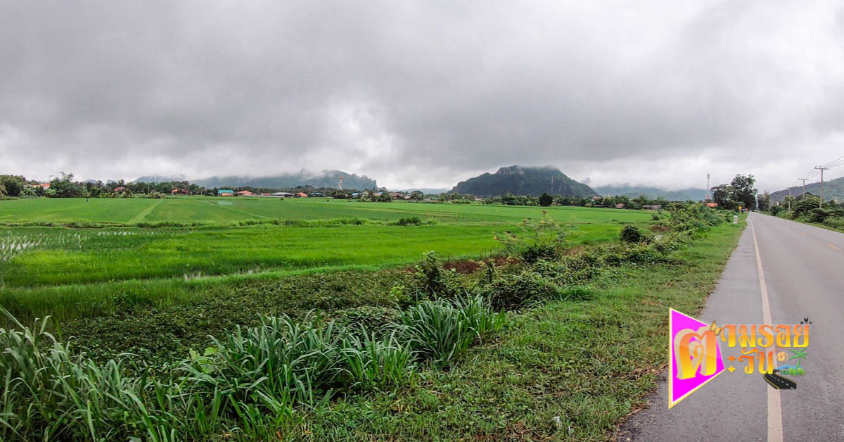 ตามรอยตะวัน