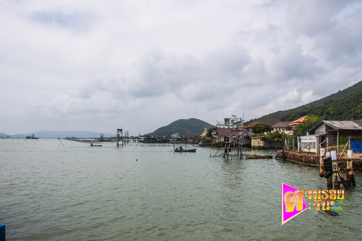 ตามรอยตะวัน