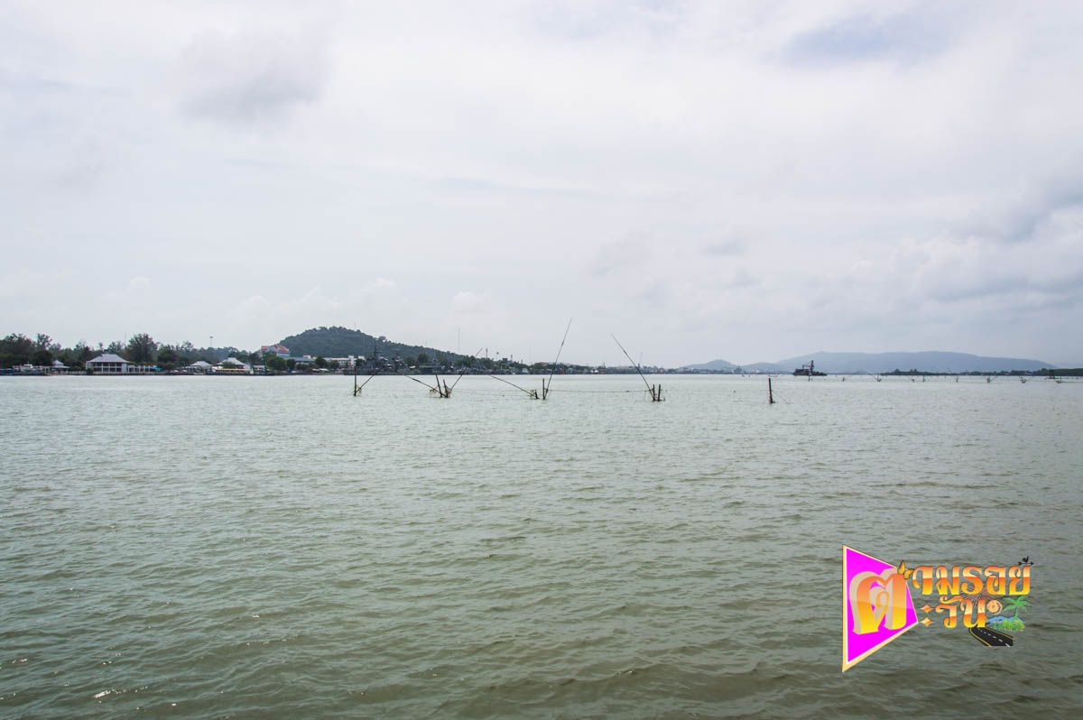 ตามรอยตะวัน