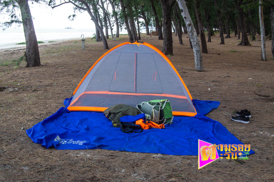 ตามรอยตะวัน