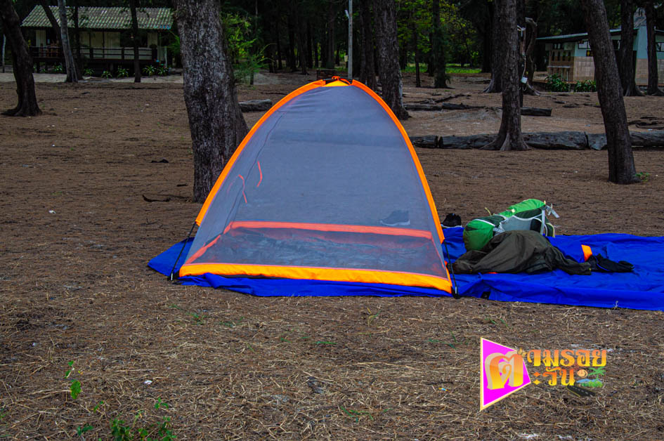 ตามรอยตะวัน