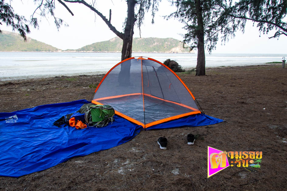 ตามรอยตะวัน