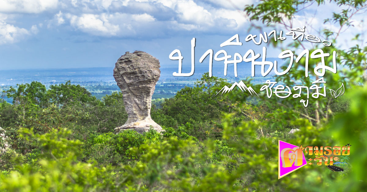 ตามรอยตะวัน