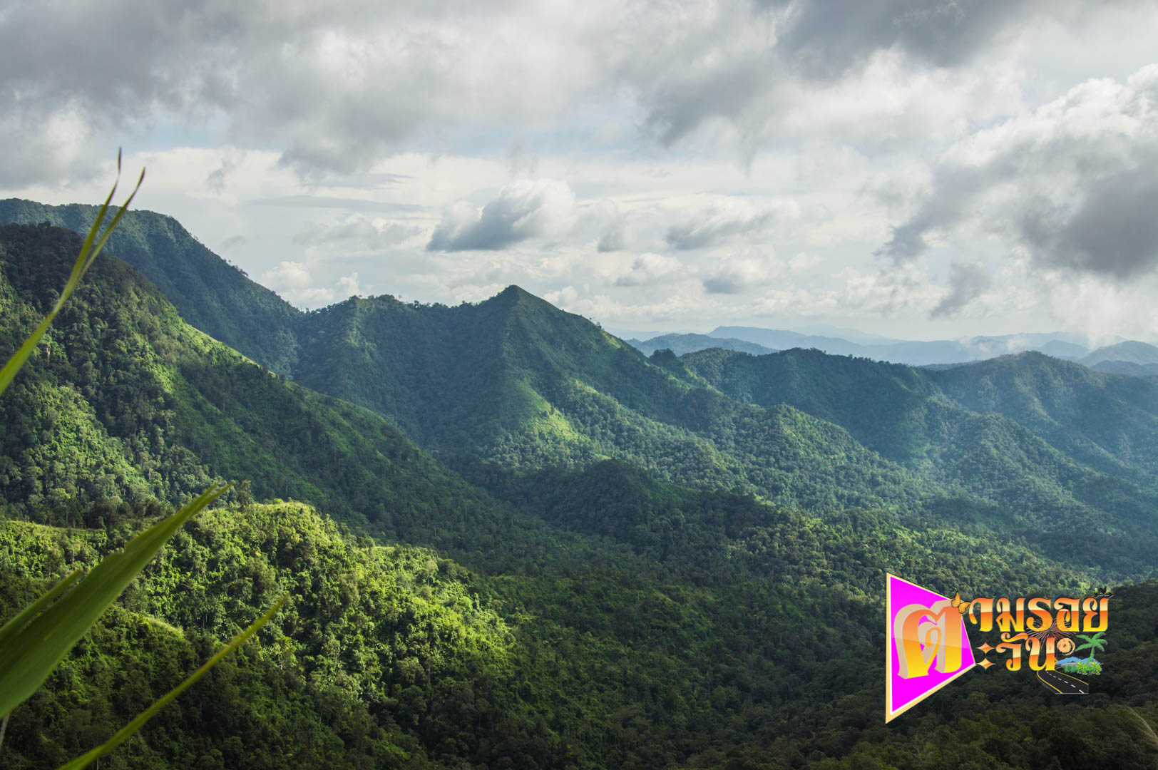 ตามรอยตะวัน