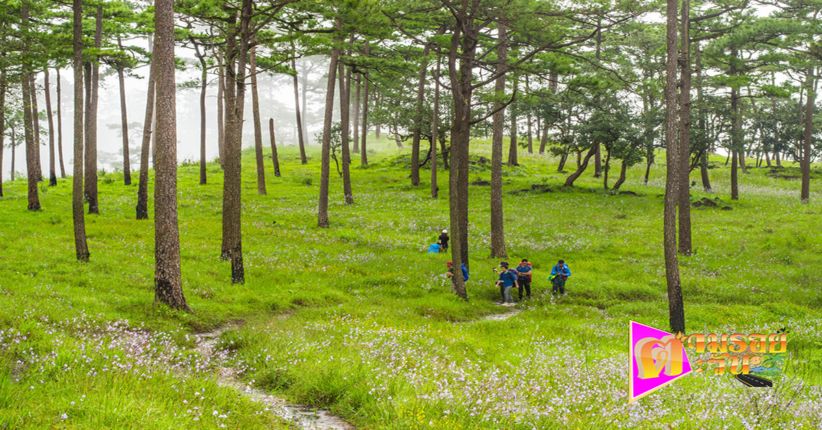 ตามรอยตะวัน