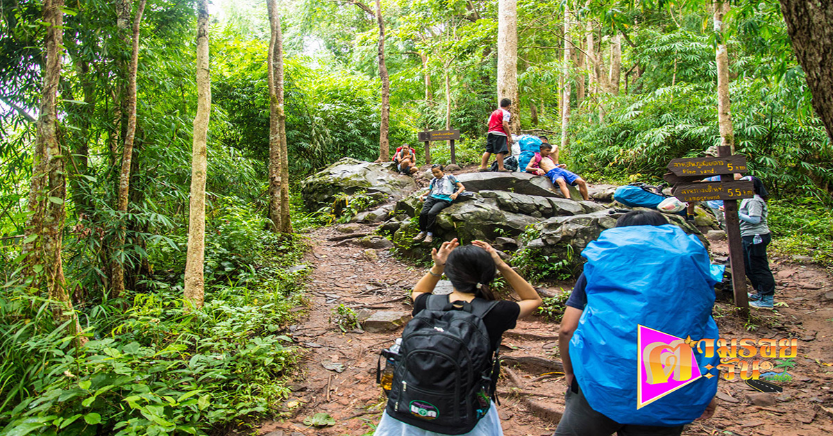 ตามรอยตะวัน