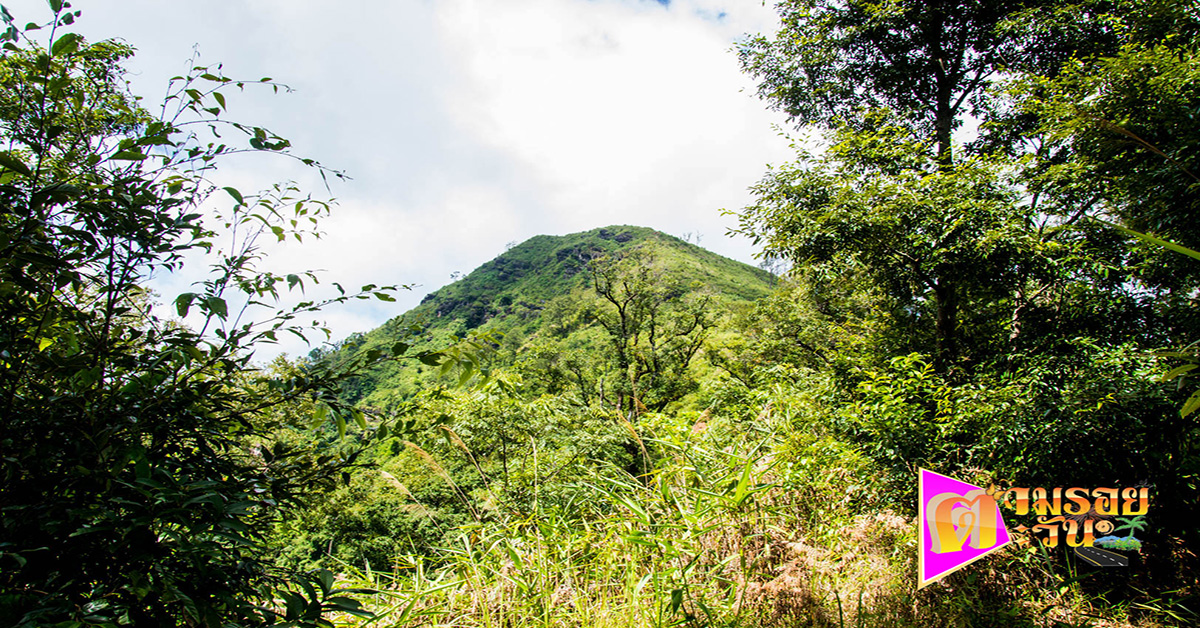 ตามรอยตะวัน