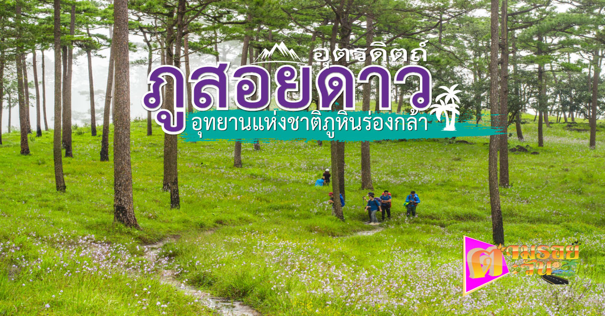 ตามรอยตะวัน