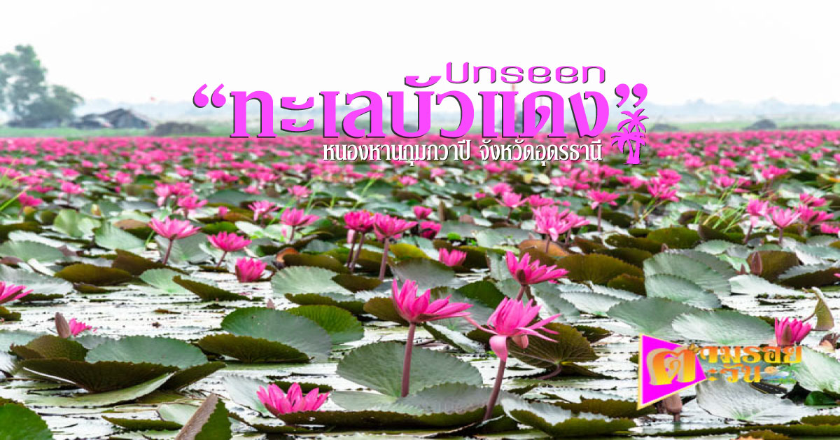 ตามรอยตะวัน