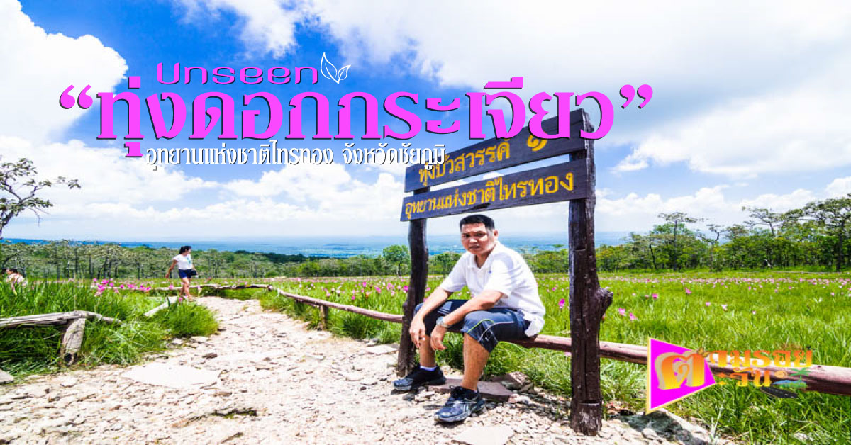 ตามรอยตะวัน