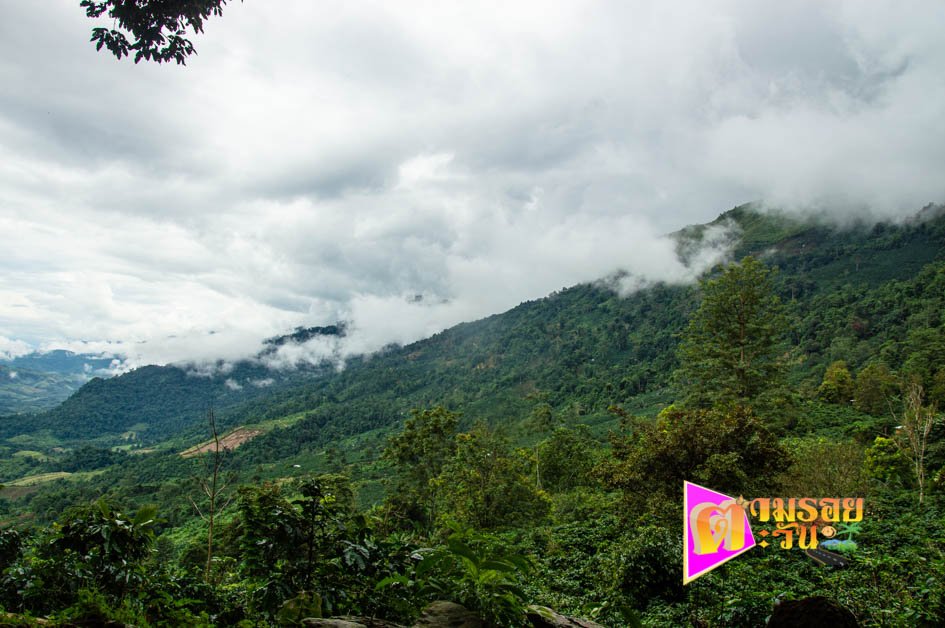 ตามรอยตะวัน