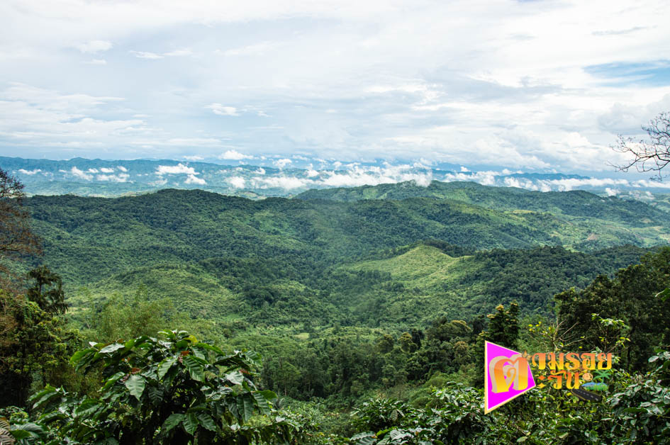 ตามรอยตะวัน