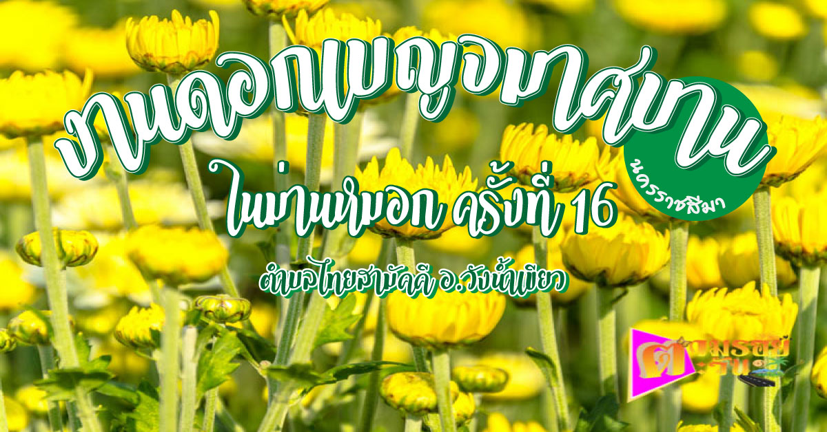 ตามรอยตะวัน