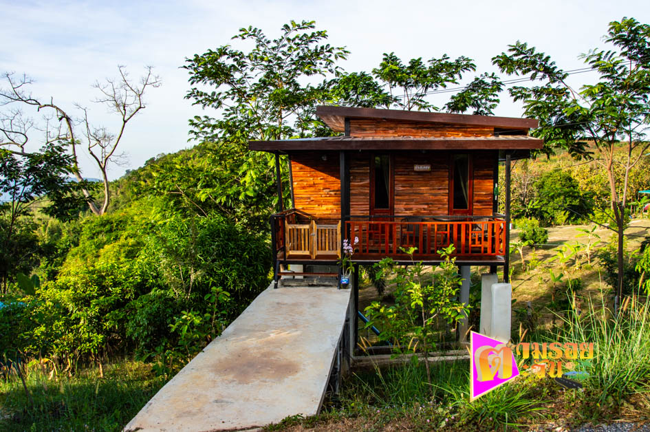 ตามรอยตะวัน