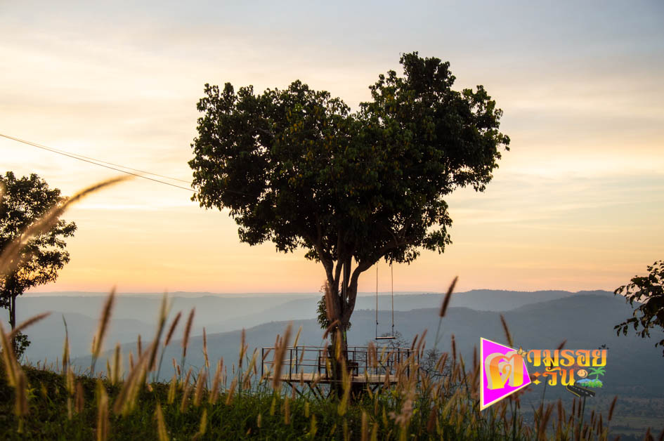 ตามรอยตะวัน