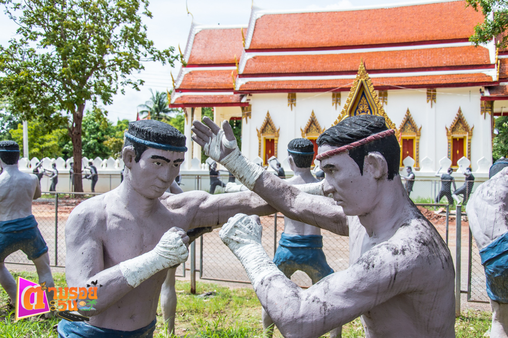 ตามรอยตะวัน