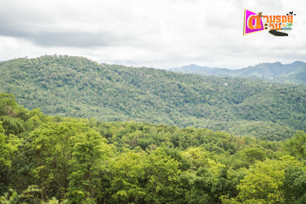 ด่านซ้าย