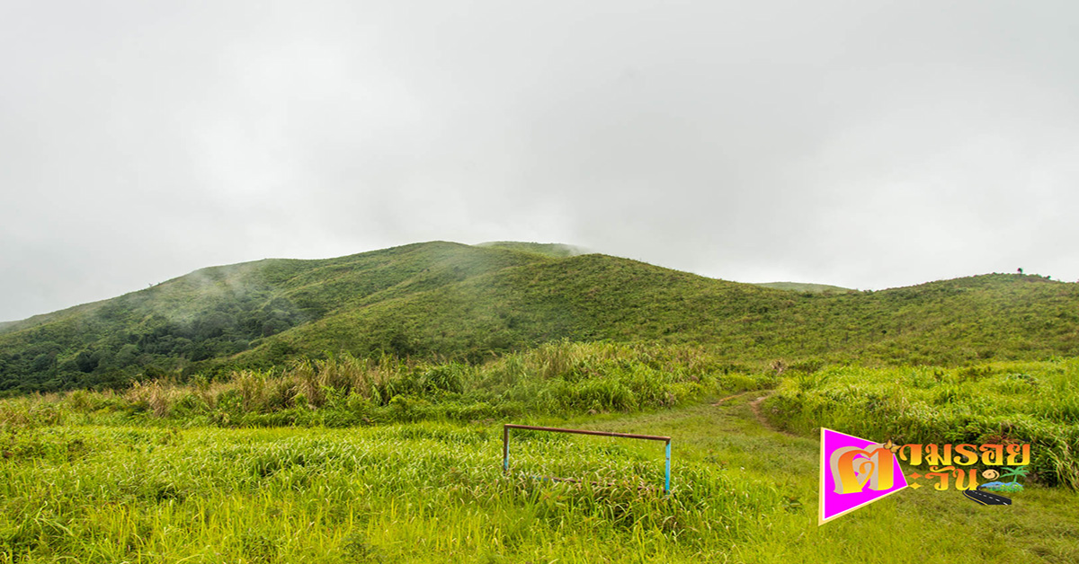 ตามรอยตะวัน