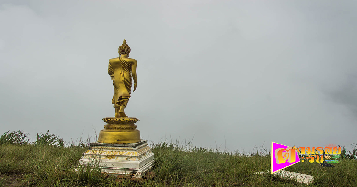 ตามรอยตะวัน