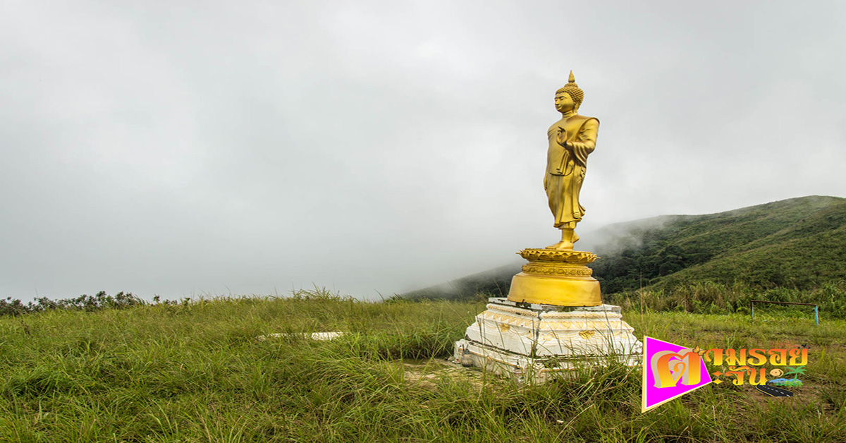 ตามรอยตะวัน