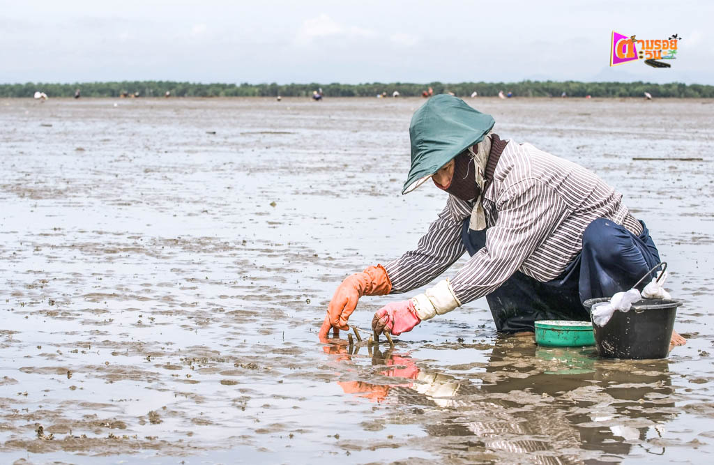 ตามรอยตะวัน