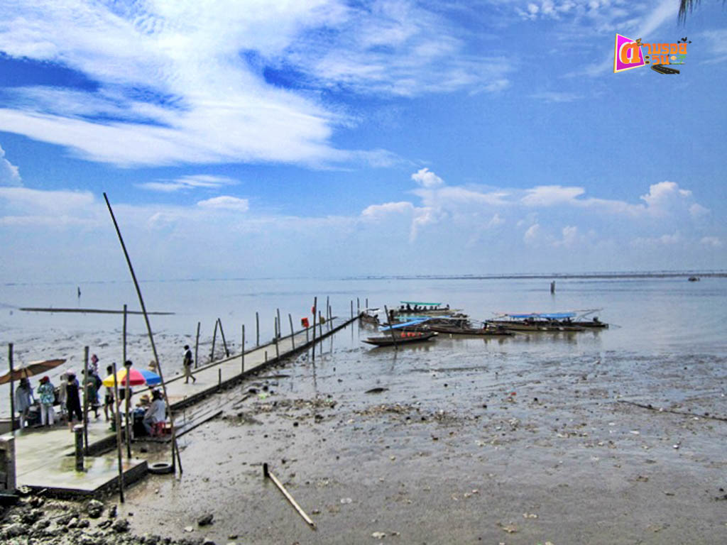 ตามรอยตะวัน