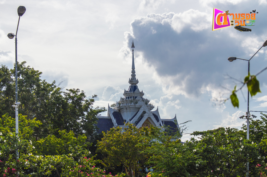 ตามรอยตะวัน