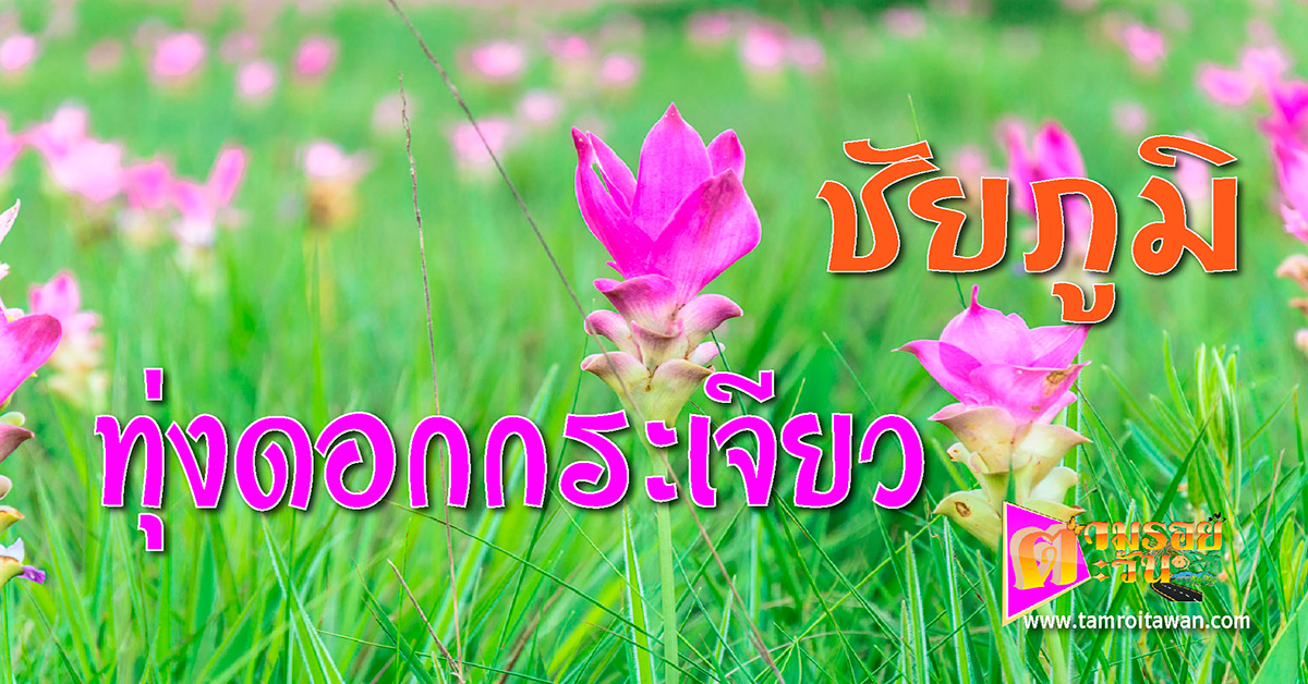 อุทยานแห่งชาติป่าหินงาม