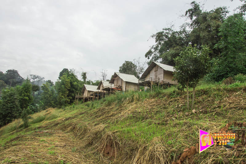 ตามรอยตะวัน