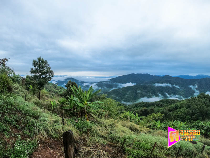 ตามรอยตะวัน