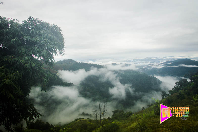 ตามรอยตะวัน