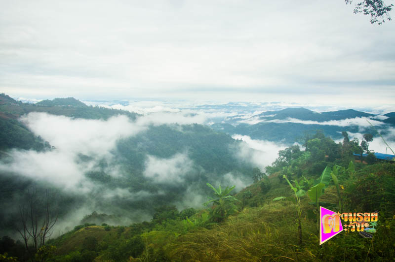 ตามรอยตะวัน