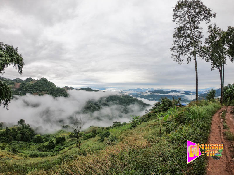 ตามรอยตะวัน