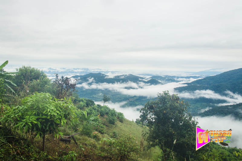 ตามรอยตะวัน