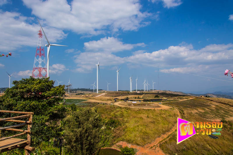 ตามรอยตะวัน