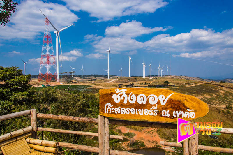 ตามรอยตะวัน