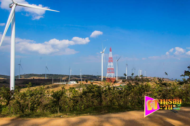 ตามรอยตะวัน