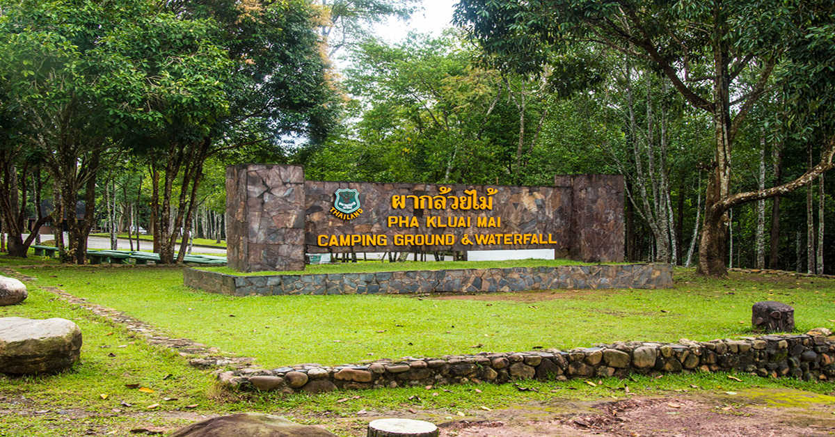 ตามรอยตะวัน